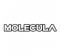 MOLECULA X LEGGO