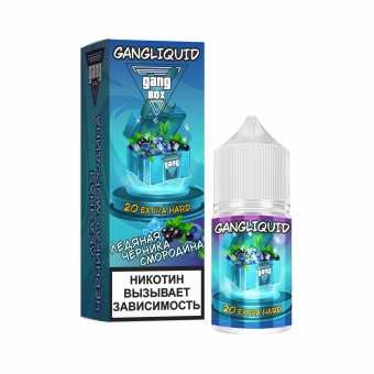 Гэнг ХБОХ Ледяная Черника Смородина S
