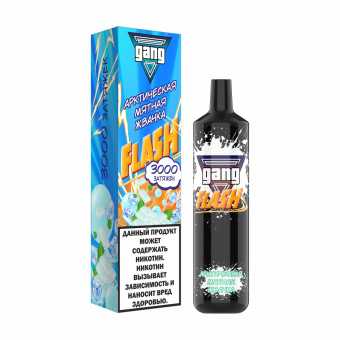 GANG FLASH - Арктическая мятная жвачка