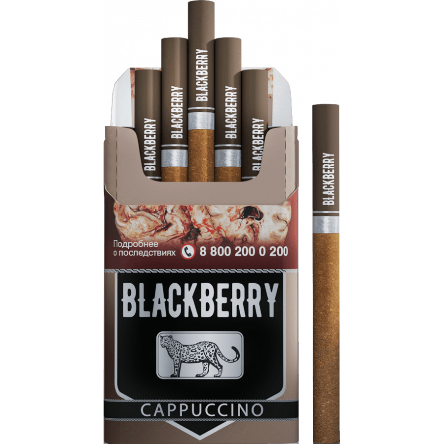 Фото и внешний вид — Сигариллы BLACKBERRY - Cappuccino (Капучино) 20шт
