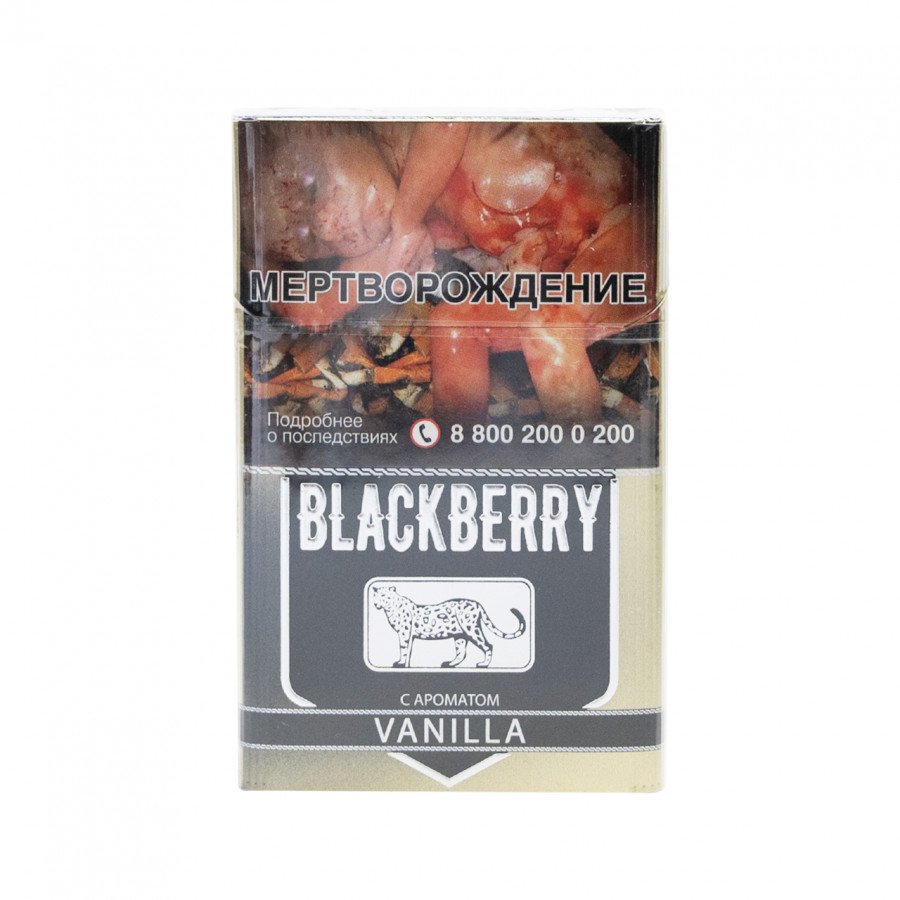 Фото и внешний вид — Сигариллы BLACKBERRY - Vanilla (Ваниль) 20шт