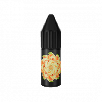 Жидкость SOAK SALT - Nectarine (Нектарин) 10мл 20мг