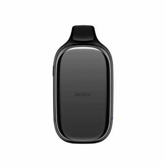 ROQY L - Ежевика Мята