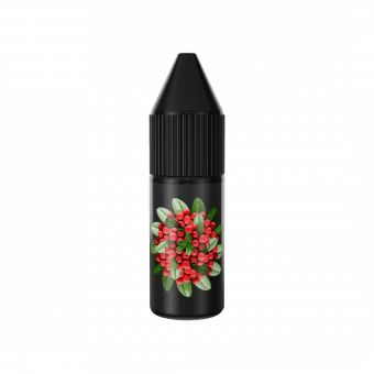 Жидкость SOAK SALT - Wild Cranberry (Дикая клюква) 10мл 20мг