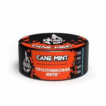 Табак для кальяна BURN BLACK 100гр - Cane Mint (Тростниковая мята)