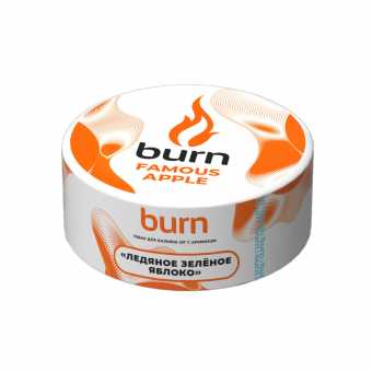 Табак для кальяна BURN 25г - Famous Apple (Ледяное зеленое яблоко)