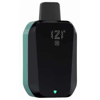 IZI XS 4000 - Sour Forest Strawberries (Кислая Лесная Земляника)