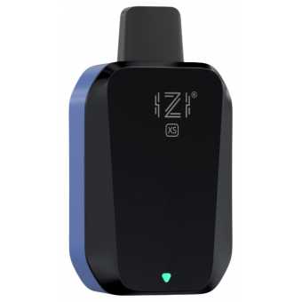 IZI XS 4000 - Sour Blueberry Currants (Кислая Черника Смородина)