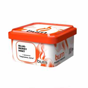 Табак для кальяна BURN 200г - Blueberry Mint (Черника и мята)