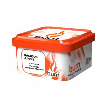Табак для кальяна BURN 200г - Famous Apple (Ледяное зеленое яблоко)